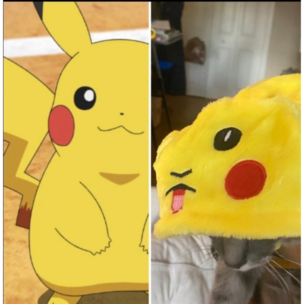Pikachu Pet Costume Small Dog Cat Halloween Family Pokemon Costume Kawaii Anime - Picture 7 of 7